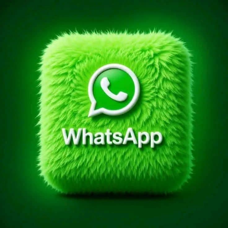 Paid WhatsApp Status Views