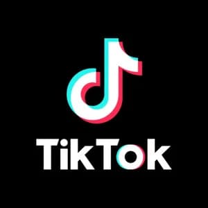 Paid TikTok Videos